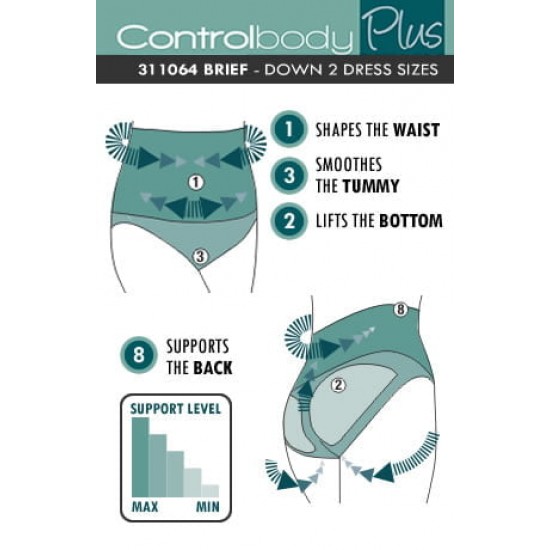 Control Body 311289 High Waist Shaping Thong Skin Control Body 311289 High Waist Shaping Thong Skin