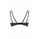 Confidante Forever Young Push Up Bra Confidante Forever Young Push Up Bra