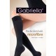 Gabriella Microfibre 501 Knee Highs Grafit Gabriella Microfibre 501 Knee Highs Grafit